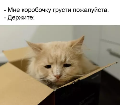 Смешная картинка №382032