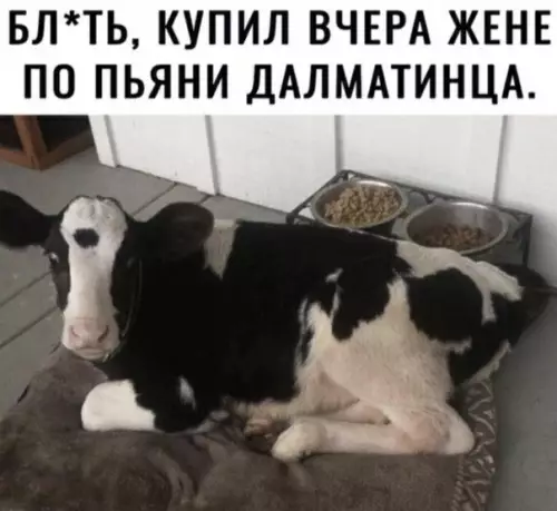 Смешная картинка №488658
