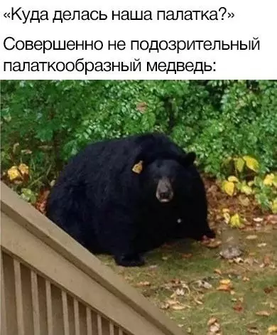 Смешная картинка №659276