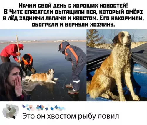 Смешная картинка №418246
