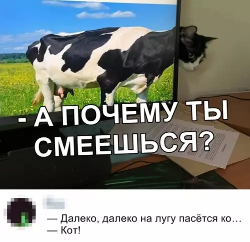 Смешная картинка №355360