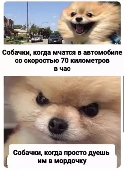 Смешная картинка №736639
