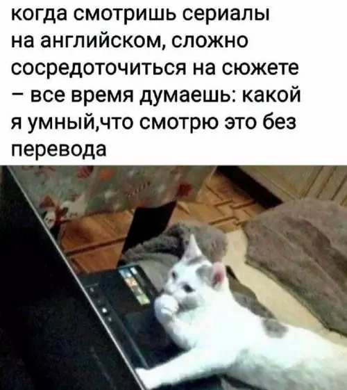 Уровень английского: бог самолюбования 🧠😂 - когда смотришь сериалы на английском, сложно сосредоточиться на сюжете все
