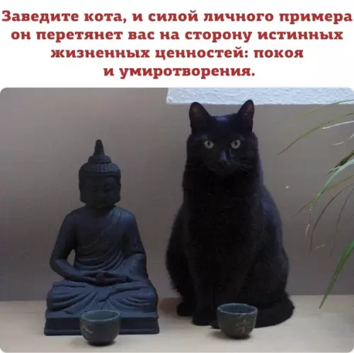 Смешная картинка №320962 Было бы здорово