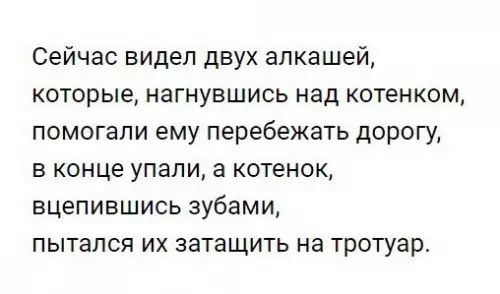Смешная картинка №303384 кошки