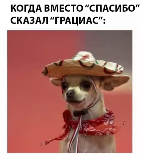 Смешная картинка №293292