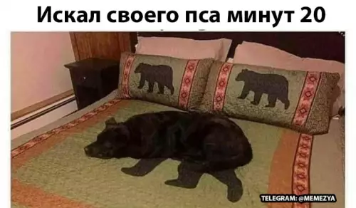 Смешная картинка №663565