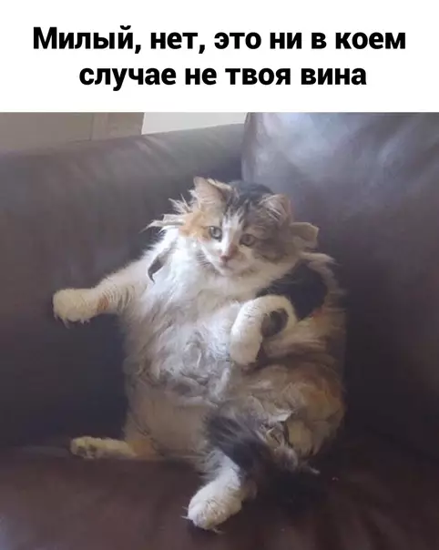 продолжение Смешная картинка №582040 Так, стоп...
