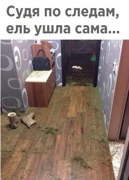 Смешная картинка №242487