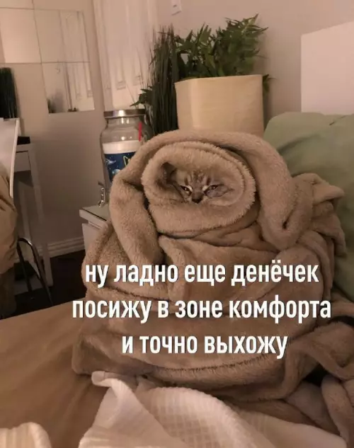 Смешная картинка №661669 Зона комфорта 
