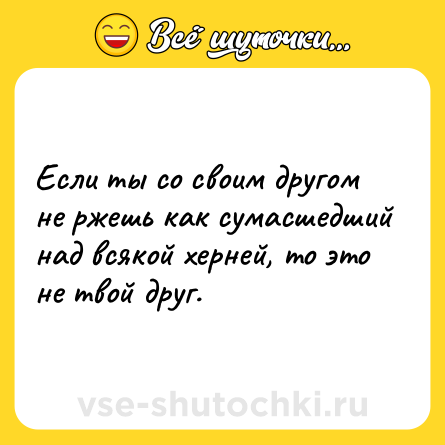 Шутка: Если ты со своим другом не ржешь как сумасшедший над всякой херней, то это не твой друг.