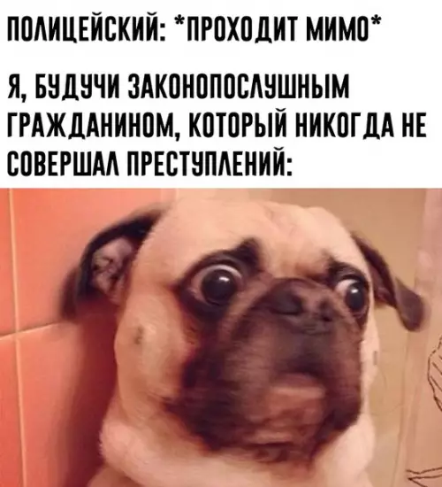 Смешная картинка №379116