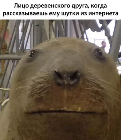 Смешная картинка №183686