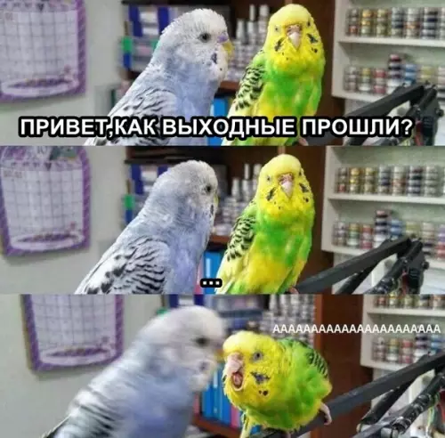 Смешная картинка №315851