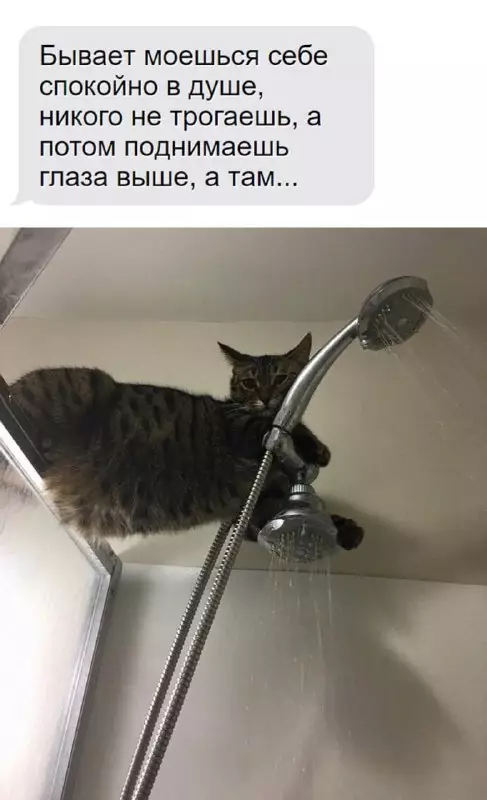 Смешная картинка №673095