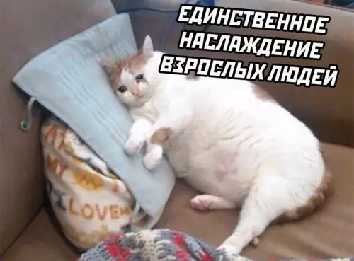 продолжение Смешная картинка №619283