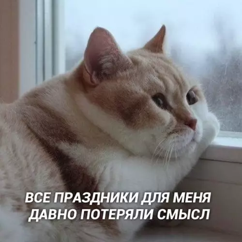 Смешная картинка №424491 Это самый грустнейший из всех постов, что видел...