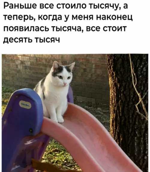 Математика, которую мы заслужили 💸 - Раньше все стоило тысячу, а теперь, когда у меня наконец