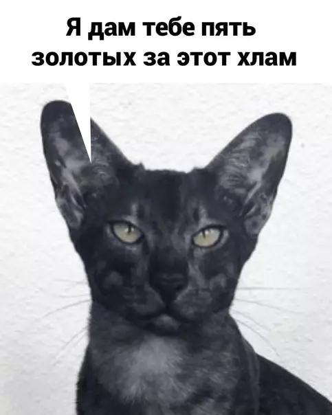 продолжение Смешная картинка №571916