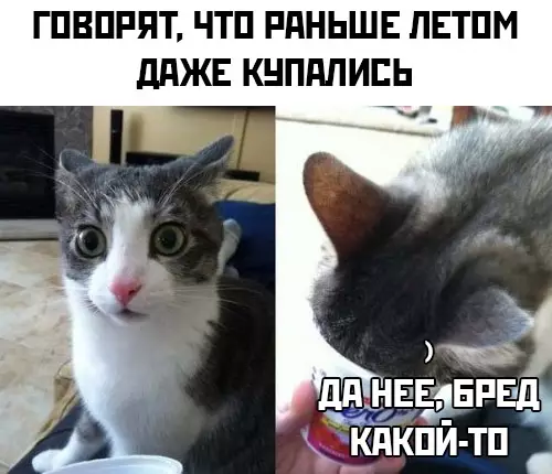 Смешная картинка №372522