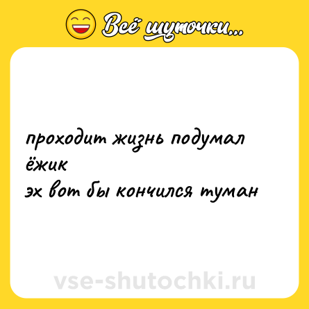 Шутка: проходит жизнь подумал ёжик<br>эх вот бы кончился туман