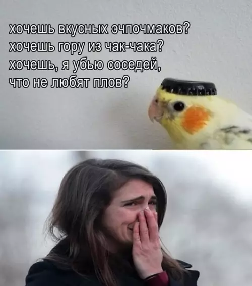 Смешная картинка №447305