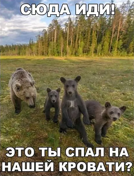 Смешная картинка №254991