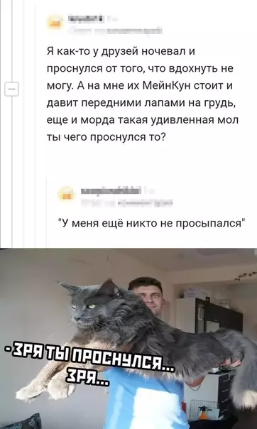 Смешная картинка №515037