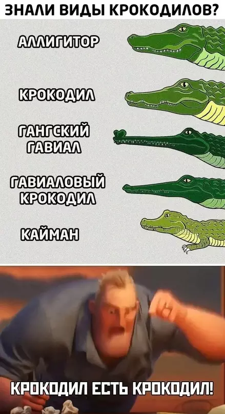 Смешная картинка №681433 Один мем заменяет целую четверть биологии