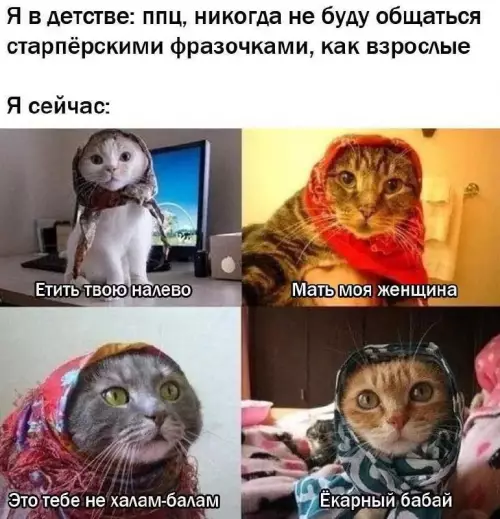 Смешная картинка №687362