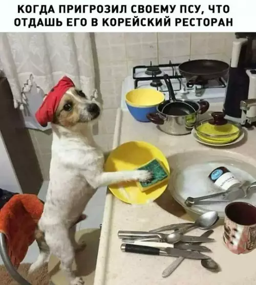 Смешная картинка №264342
