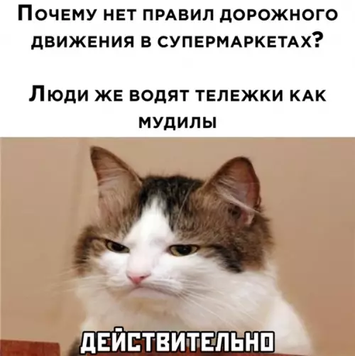 Смешная картинка №548776