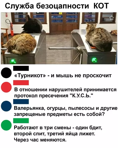Смешная картинка №508606 Пропускной лежим