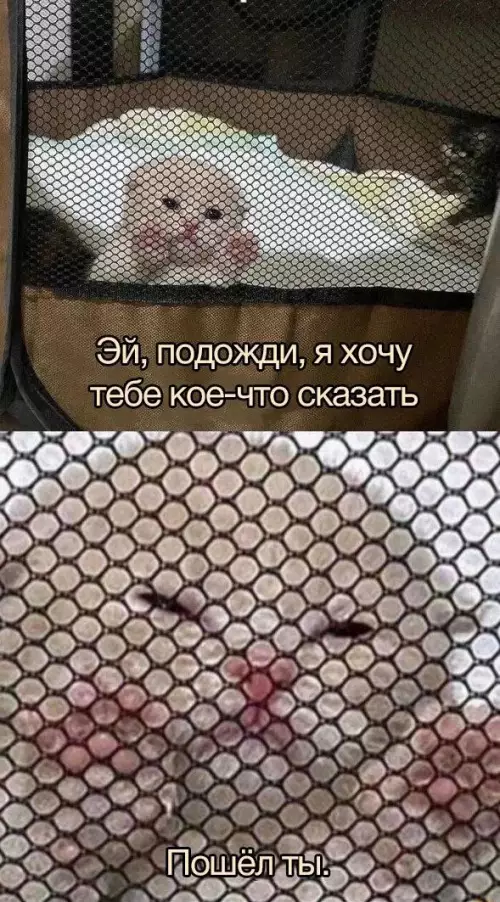 Смешная картинка №657274