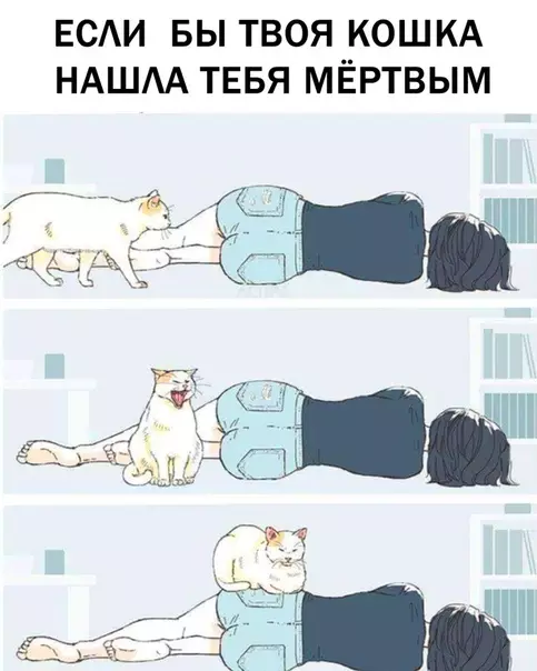 Смешная картинка №317360 Пока тёпленький.