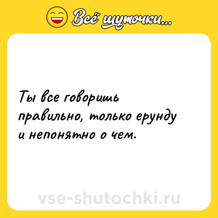 Шутка: Ты все говоришь правильно, только ерунду и непонятно о чем.