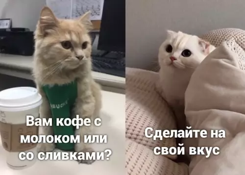 Смешная картинка №641251 Bceм нe yгодишь
