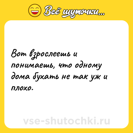 Шутка: Вот взрослеешь и понимаешь, что одному дома бухать не так уж и плохо.