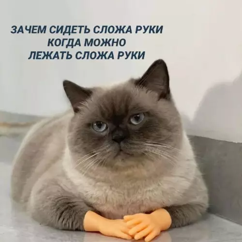 Смешная картинка №678921