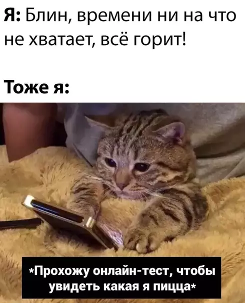 Смешная картинка №469890