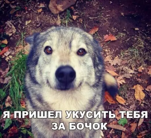 Смешная картинка №298744