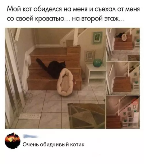 Смешная картинка №293705