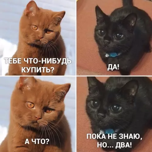Смешная картинка №456133