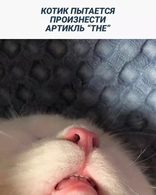 Смешная картинка №674584