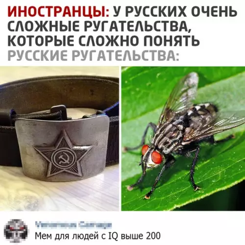Смешная картинка №534017