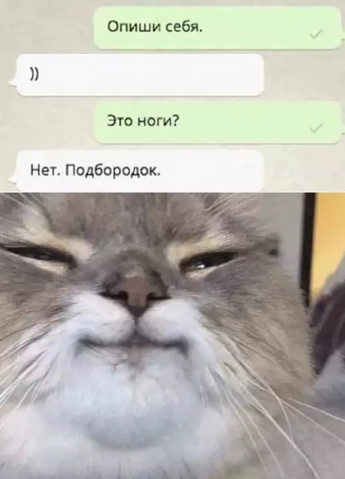 Смешная картинка №710914 переписка
