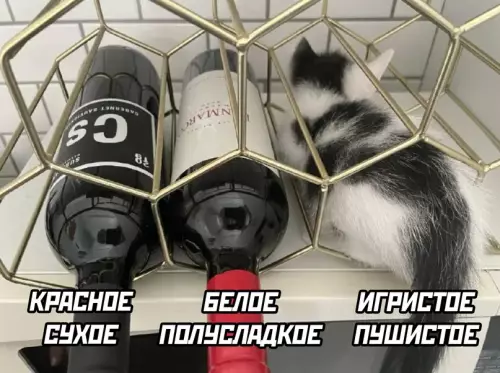 Смешная картинка №691909
