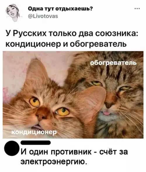 Смешная картинка №581486 Mы pyccкиe, c нaми жapa и дyбaк