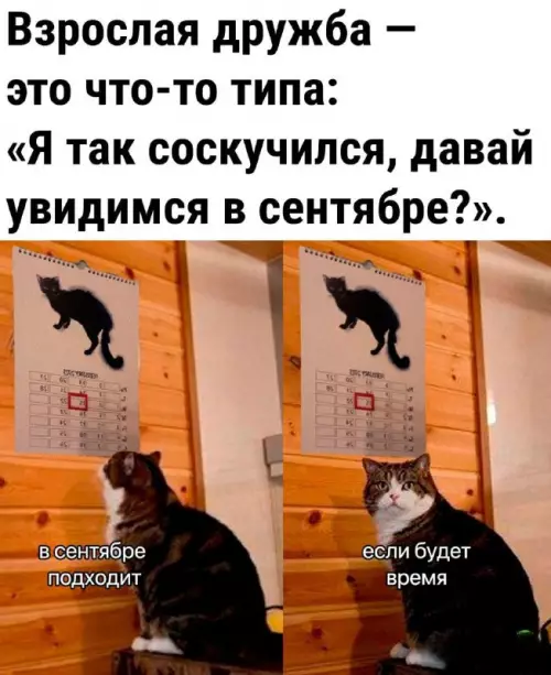 Смешная картинка №721060 Друзья