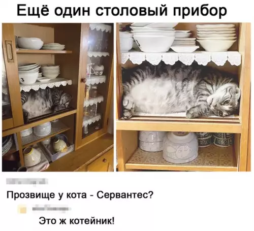 Смешная картинка №512070 Это не столовый прибор, это сладкая буханочка к чаю! коты